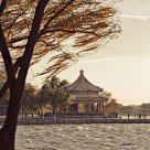 Sepia Wind