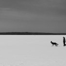 Walk with the dog