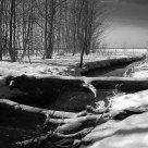Winter In the bush