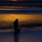 Low Tide