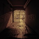 Shadows