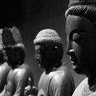 The Buddhas