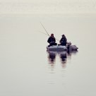 Tranquillity