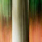 Nature's Impressionism II
