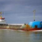 The Zingst