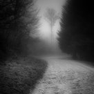 Path