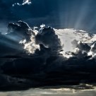 Rays