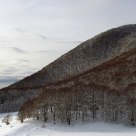 Forca d'Acero