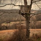 Lookout