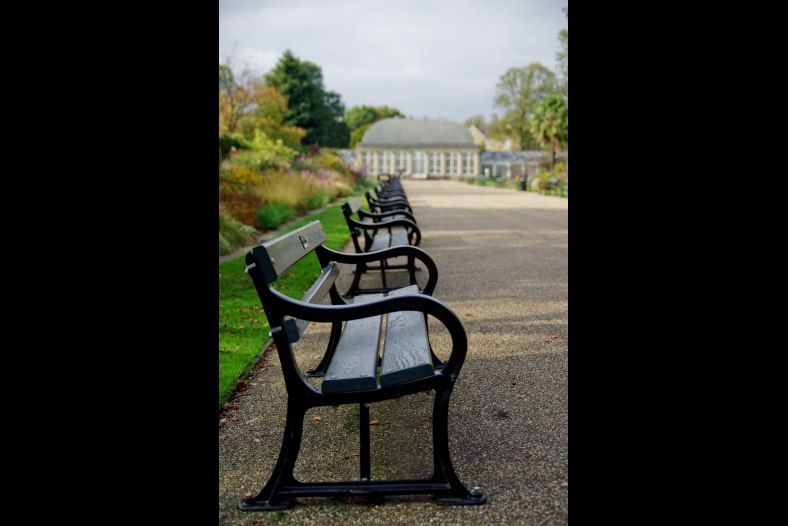 Seat anyone ?