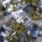 Ice jewel