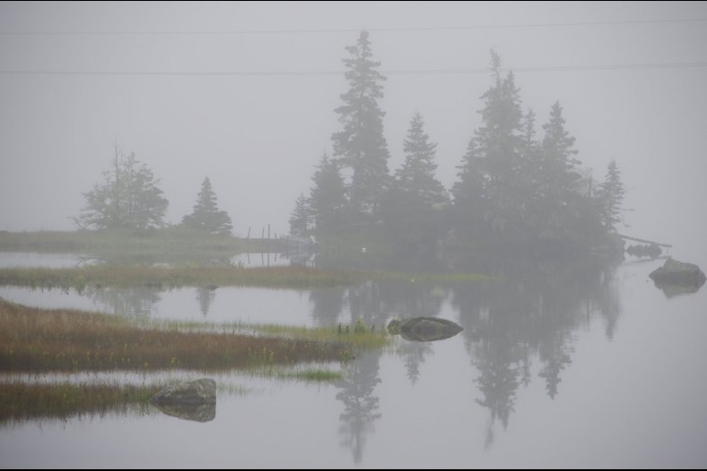 Sea Fog
