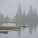 Sea Fog