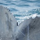 Whale tail