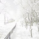 Snow on March 18 in Beijing
