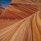 The Wave