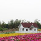 TIAN YUAN