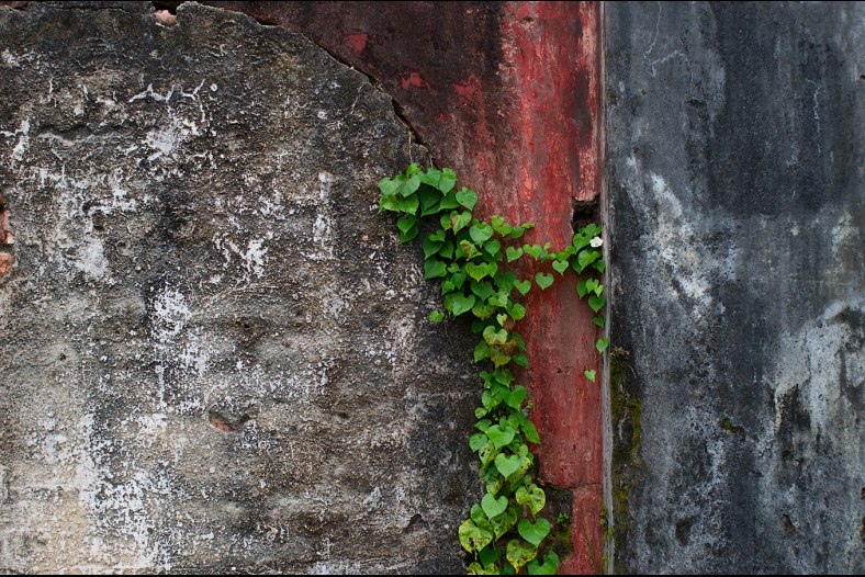 Ancient wall