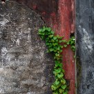 Ancient wall