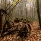 Cart