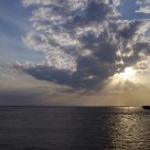 Rays