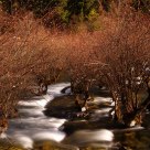 Stream