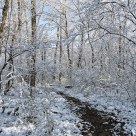 Early Light, Late Snow