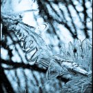 Ice Serpent