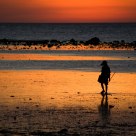 Beachcombing