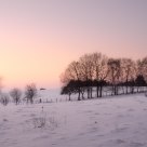 Winter Scene