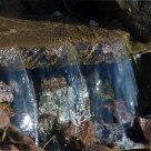 Stream
