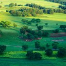 The texture of the earth