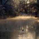 Winterdream