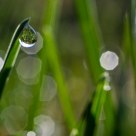 A little world