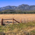 Fence, Pasture and Mountains