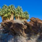 Rocks, Palms and Blue sky