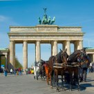 Horses and horses