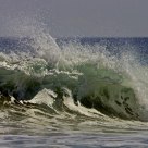 Wave Action