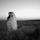 In the field in the Rye