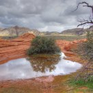Reflection Pool