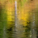 Golden Lake Reflections