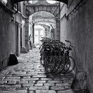 Bicycle parking
