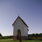 Night at the wine field. 