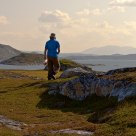 Picking cloudberries on a small island in Finnmark