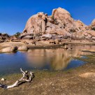 Barker Dam in Joshua Tree National Park
