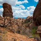 Devils Garden