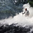 Charcoal Worker