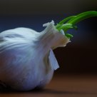 Garlic lives