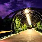 Night tunnel