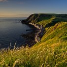 Crovie